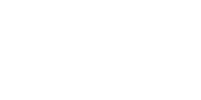 Corporate Pickleball Solutions